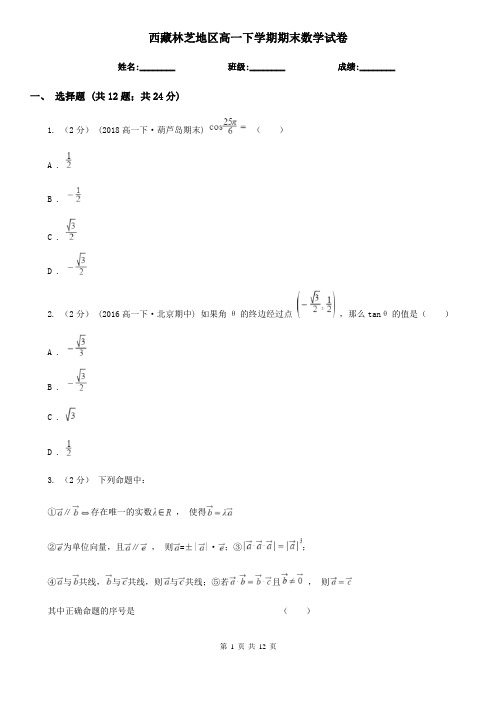 西藏林芝地区高一下学期期末数学试卷