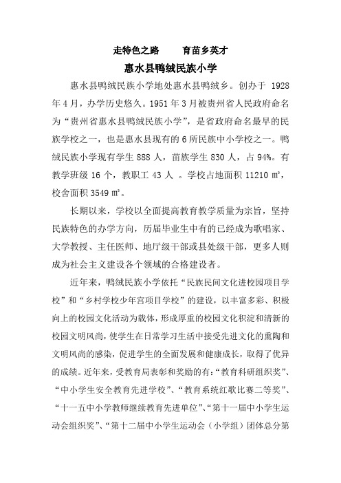 惠水县鸭绒民族小学简介
