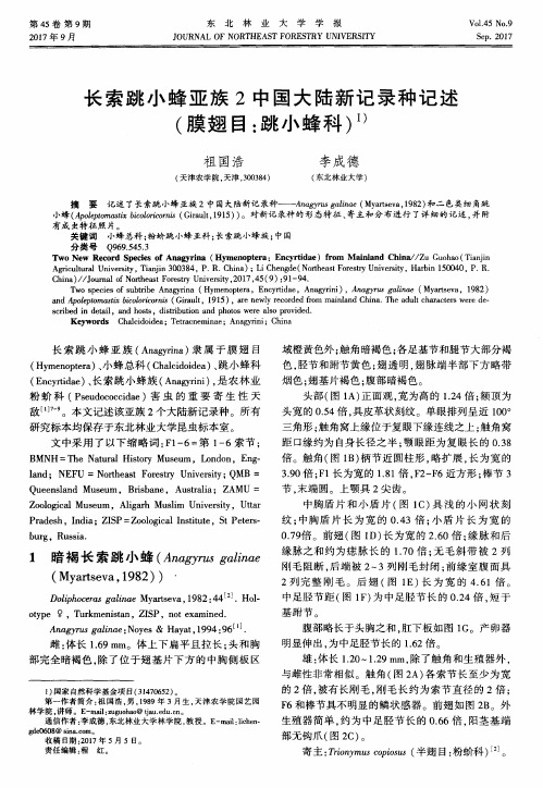 长索跳小蜂亚族2中国大陆新记录种记述(膜翅目：跳小蜂科)