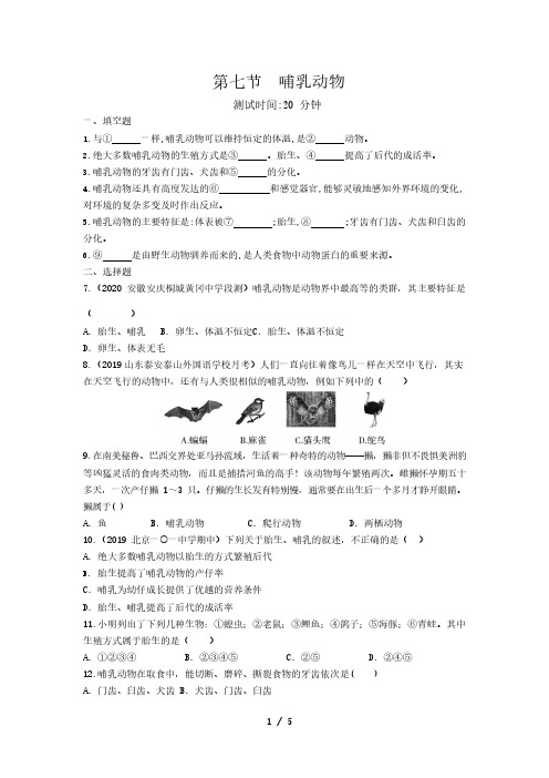 人教版生物八年级上册 5.1.7 哺乳动物 同步测试题