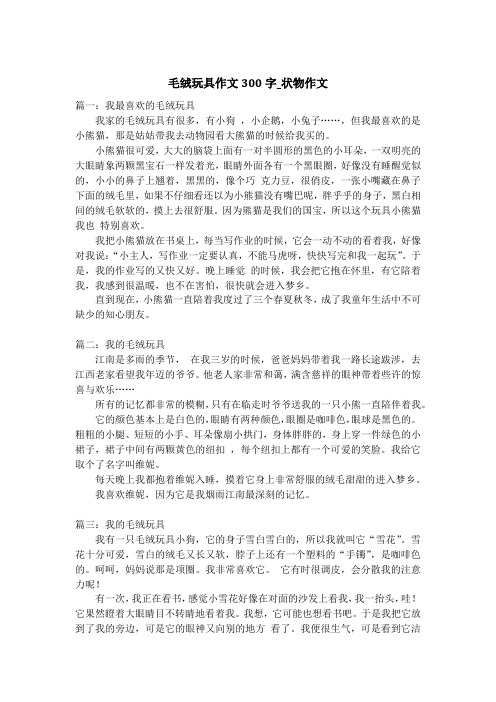 毛绒玩具作文300字_状物作文