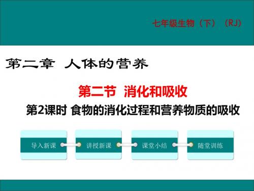 4.2.2(2)-食物的消化过程和营养物质的吸收
