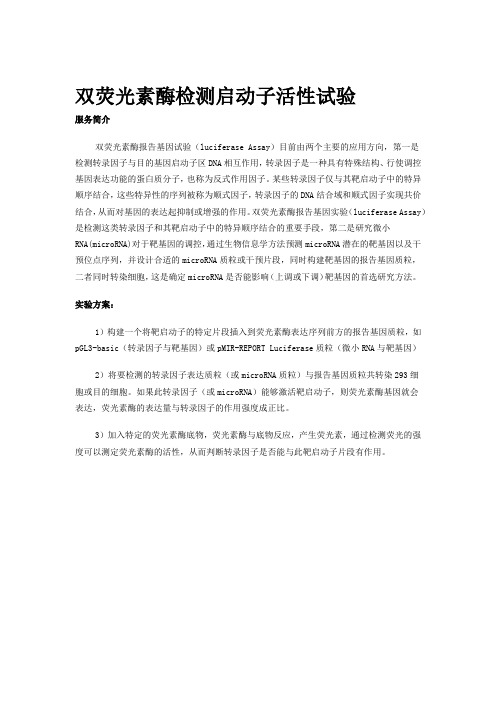 双荧光素酶检测