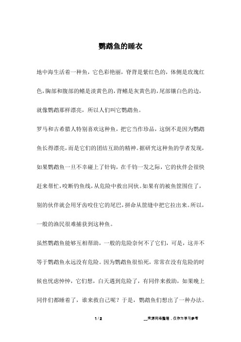 鹦鹉鱼的睡衣_成长故事