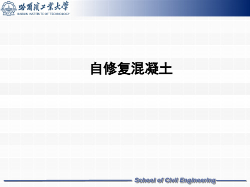 高性能混凝土自修复混凝土(精选PPT)