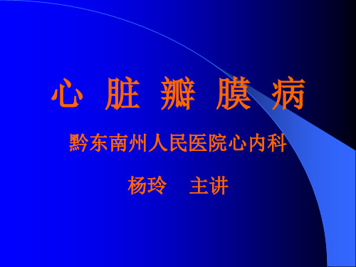 心瓣膜病
