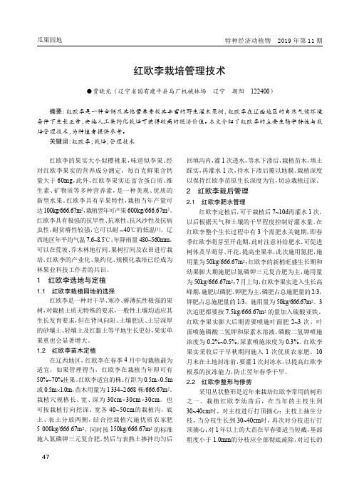 红欧李栽培管理技术