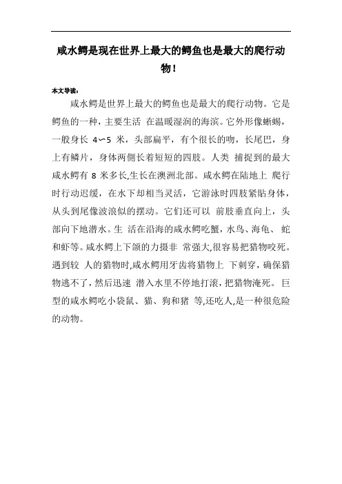 咸水鳄是现在世界上最大的鳄鱼也是最大的爬行动物!