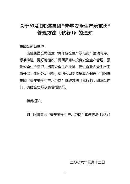 青年安全生产示范岗考核标准
