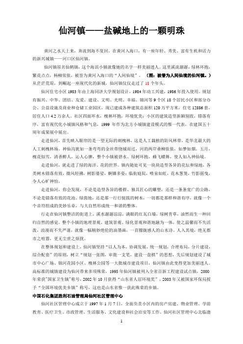 仙河镇——盐碱地上的一颗明珠
