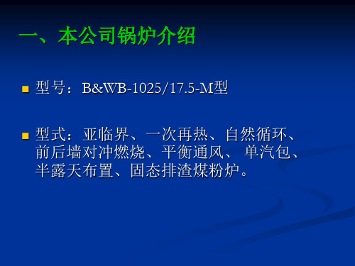 300MW锅炉解读
