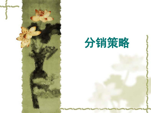 分销策略2