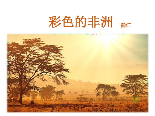 (赛课课件)五年级下册语文《彩色的非洲》 (共52张PPT)