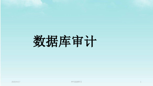 数据库审计课件