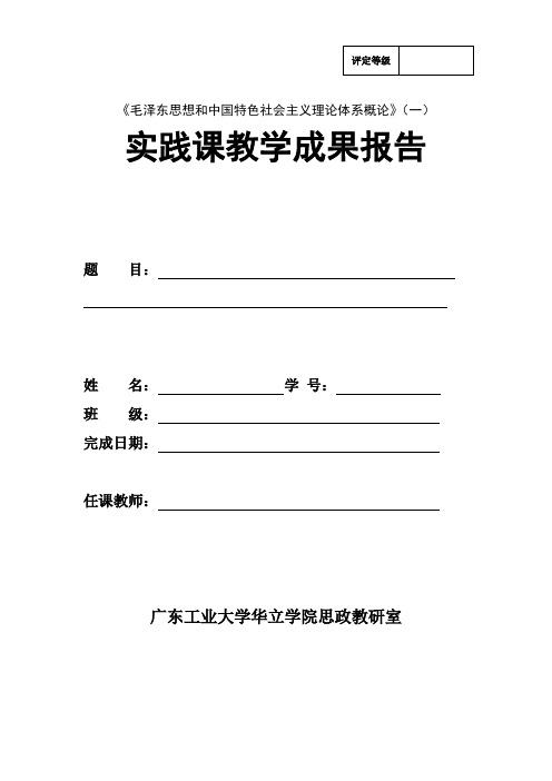 毛概,实践教学报告格式与要求