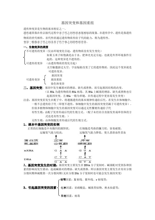 基因突变和基因重组