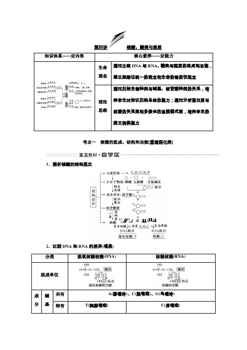 2020版高考生物(新课改省份专用)一轮复习学案第一单元第四讲核酸、糖类与脂质含解析