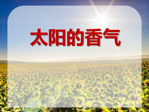 《太阳的香气》冀教版一年级语文上册教材课件PPT(3篇)