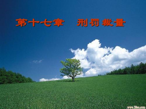 第十七章  刑罚裁量