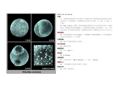foraminifera浮游有孔虫要点