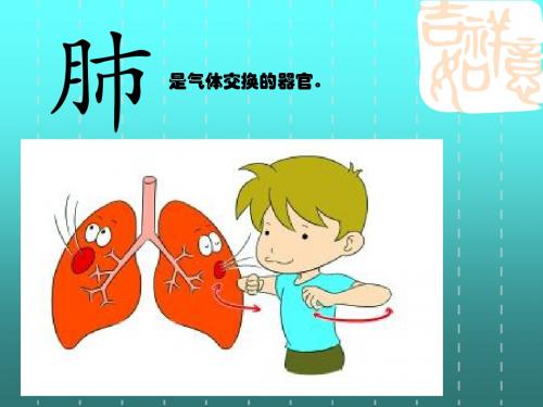 人教版六年级语文上册《读课文  4 城市之肺》优质课课件_2
