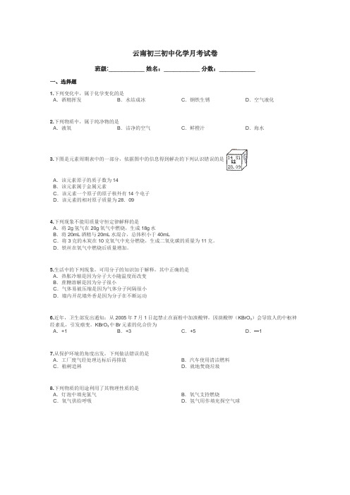云南初三初中化学月考试卷带答案解析
