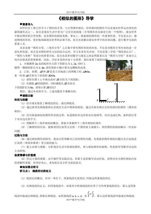 华师大版-数学-九年级上册- 24.1相似的图形  导学