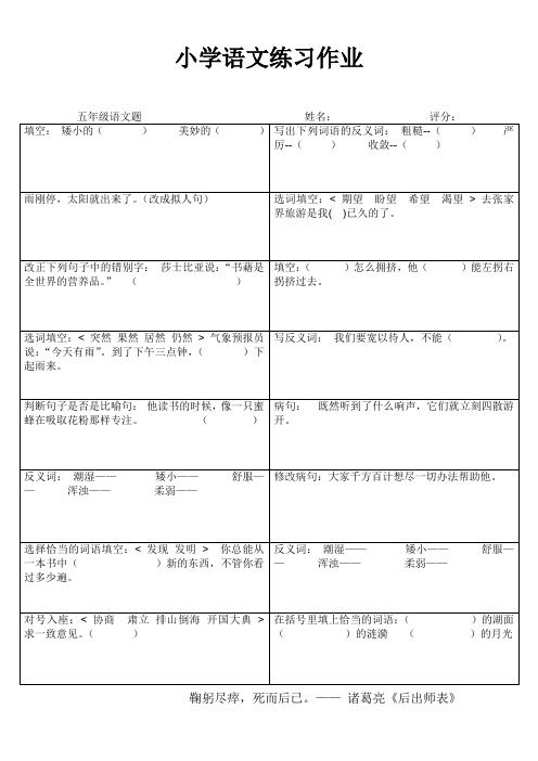 小学五年级语文期末冲刺训练 (60)