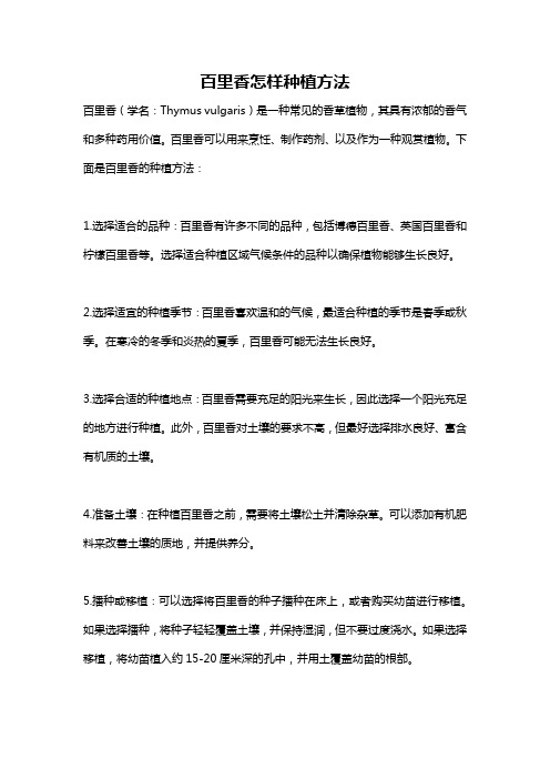 百里香怎样种植方法