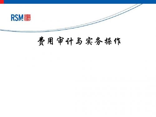 费用审计与实务操作(PPT 45张)