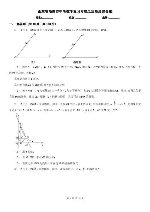 山东省淄博市中考数学复习专题之三角形综合题