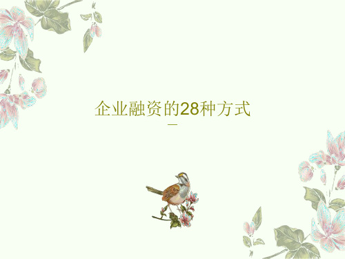 企业融资的28种方式共89页