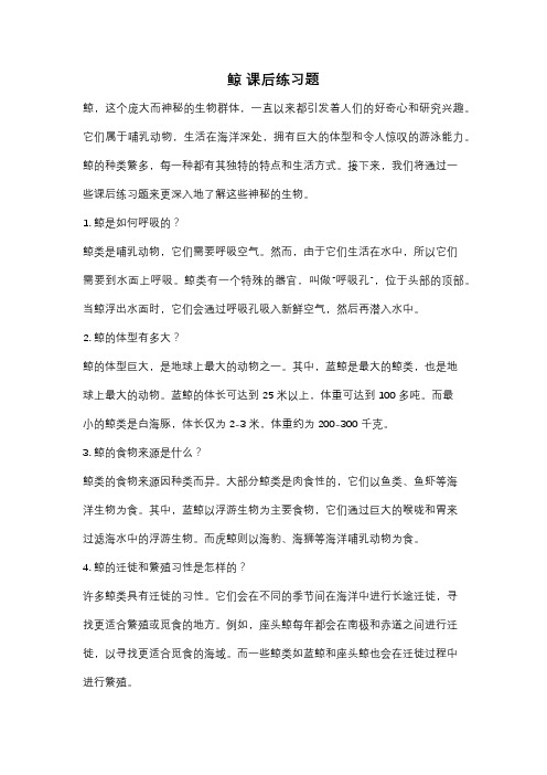 鲸 课后练习题