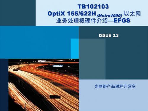 TB102103 OptiX 155622H(Metro 1000) 以太网业务处理板(EFGS)硬件介绍ISSUE2.2