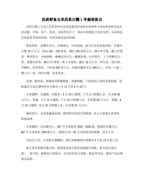 优质鲜食玉米西星白糯1号栽培要点