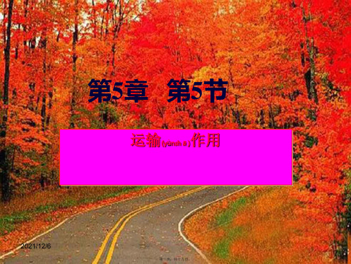 七年级生物上册 第三单元 第五章 第五节 运输作用课件