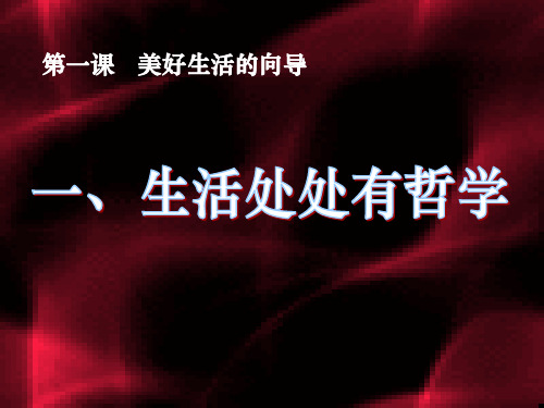人教版 生活处处有哲学 [1]演示PPT课件