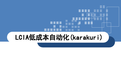 11-LCIA低成本自动化
