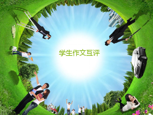 学生作文互评.优秀PPT资料