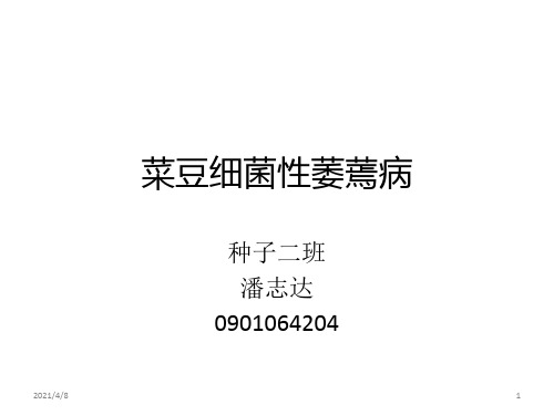 菜豆细菌性萎蔫病-Microsoft-Office-PowerPoint-演示文稿