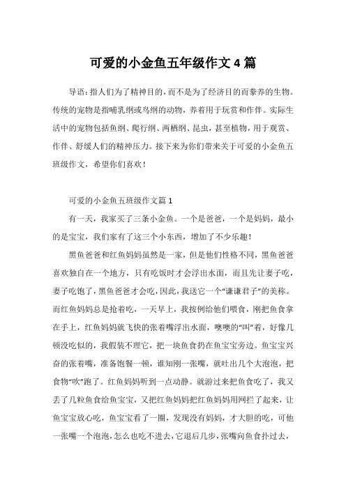 可爱的小金鱼五年级作文4篇