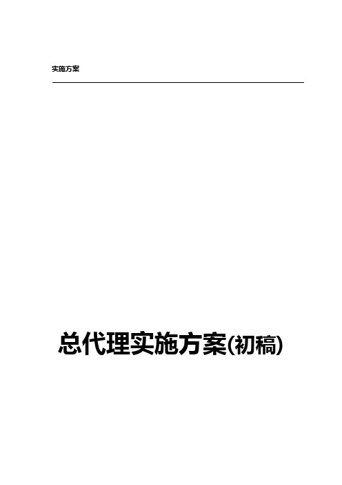 总代理实施方案