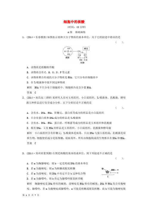 高三生物一轮总复习教材回扣检测：细胞中的核酸