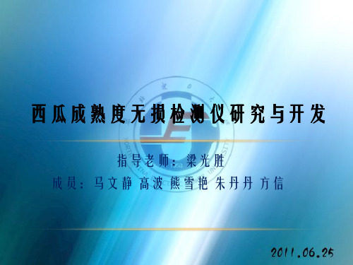 西瓜成熟度无损检测仪研究与开发_