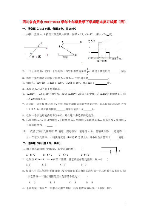 四川省自贡市2012-2013学年七年级数学下学期期末复习试题(四)