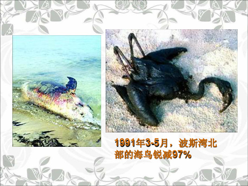 最新人教版高中历史选修3新课课件：5.7 海湾战争(共28张PPT)