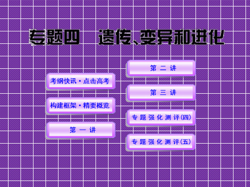 2012高考生物世纪金榜二轮复习精品课件专题四遗传变异进化