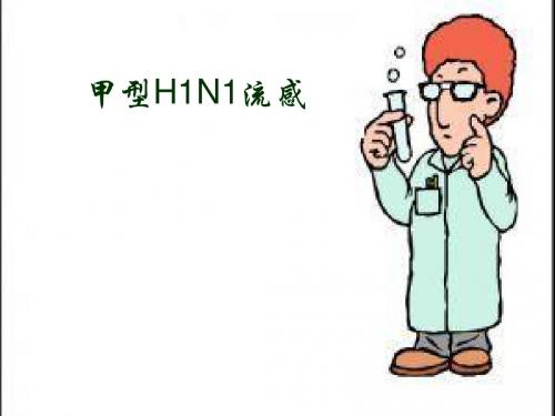 甲型H1N1