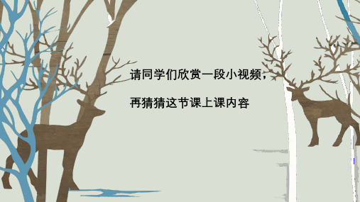 岭南版三年级下册美术《8.表情丰富的脸》