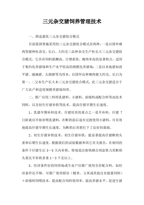 三元杂交猪饲养管理技术